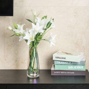 NEW 8.7inch Round Glass Table Vase for Home